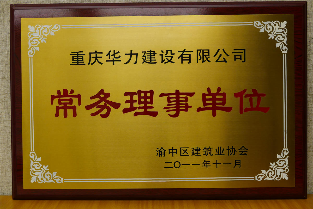 渝中建筑业协会常务理事单位