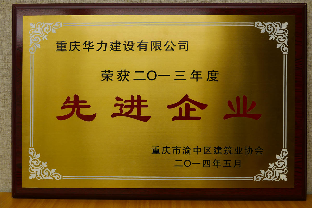 2013年渝中区先进企业