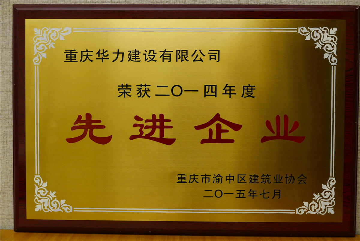 2014年渝中区先进企业